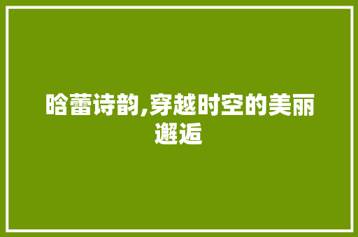 晗蕾诗韵,穿越时空的美丽邂逅