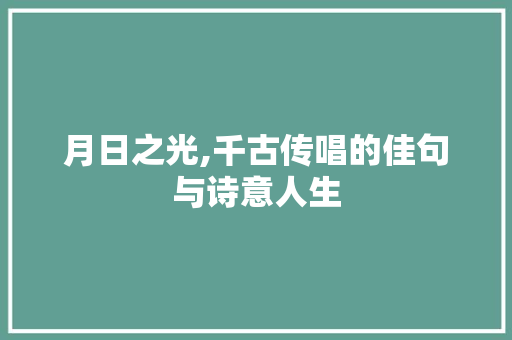 月日之光,千古传唱的佳句与诗意人生