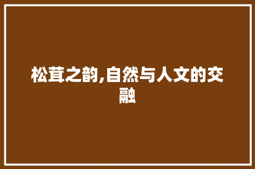 松茸之韵,自然与人文的交融