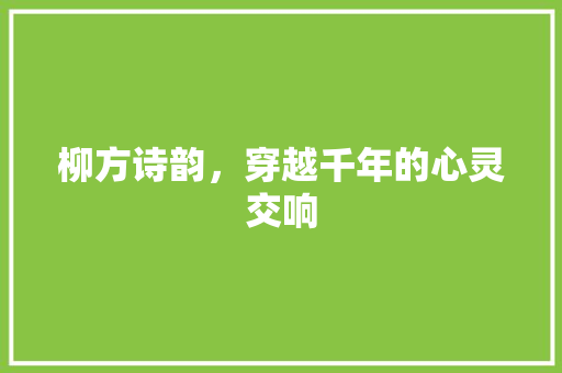 柳方诗韵，穿越千年的心灵交响