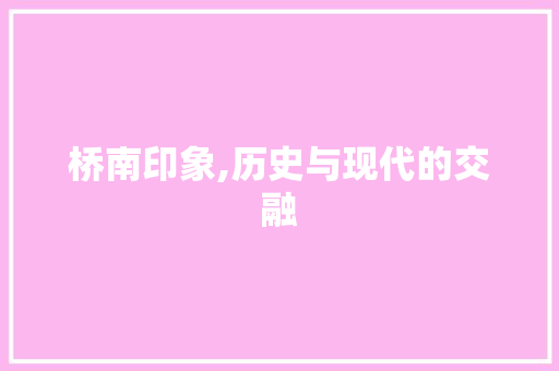 桥南印象,历史与现代的交融