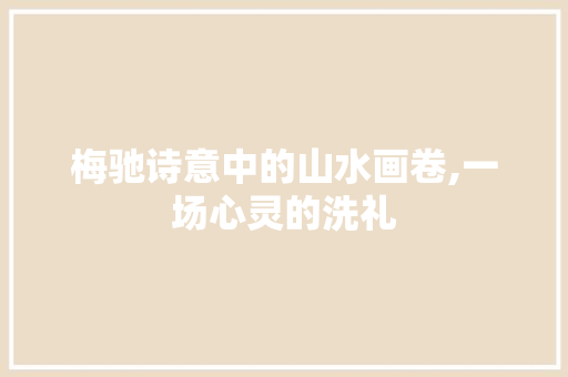 梅驰诗意中的山水画卷,一场心灵的洗礼