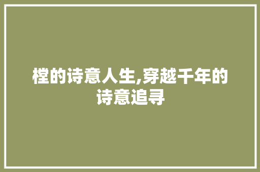 樘的诗意人生,穿越千年的诗意追寻
