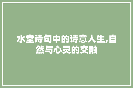 水堂诗句中的诗意人生,自然与心灵的交融