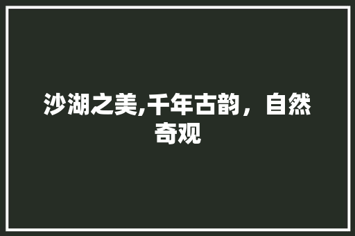 沙湖之美,千年古韵，自然奇观