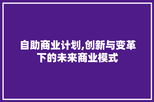 自助商业计划,创新与变革下的未来商业模式