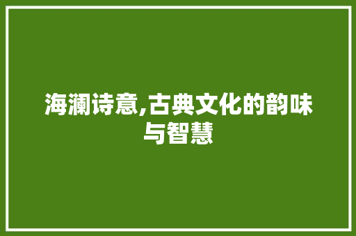 海澜诗意,古典文化的韵味与智慧