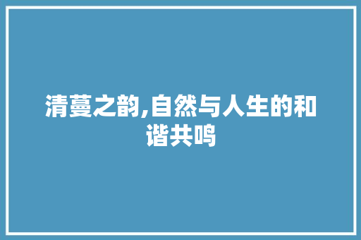 清蔓之韵,自然与人生的和谐共鸣