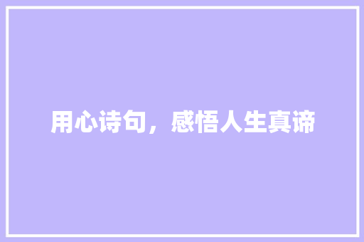 用心诗句，感悟人生真谛