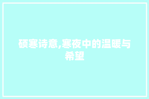 硕寒诗意,寒夜中的温暖与希望