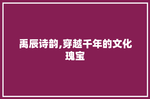 禹辰诗韵,穿越千年的文化瑰宝