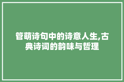 管萌诗句中的诗意人生,古典诗词的韵味与哲理