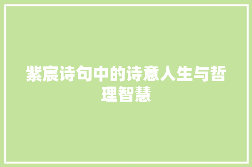 紫宸诗句中的诗意人生与哲理智慧