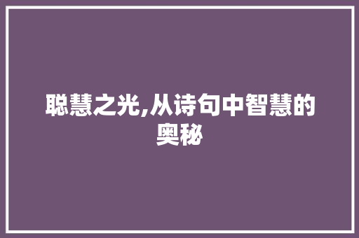 聪慧之光,从诗句中智慧的奥秘