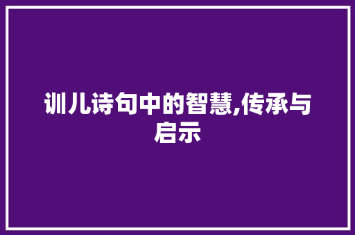 训儿诗句中的智慧,传承与启示