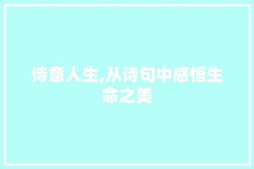 诗意人生,从诗句中感悟生命之美