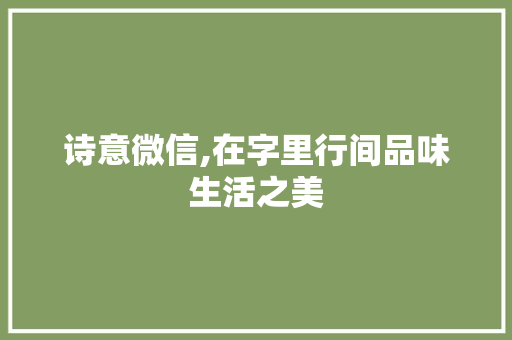 诗意微信,在字里行间品味生活之美