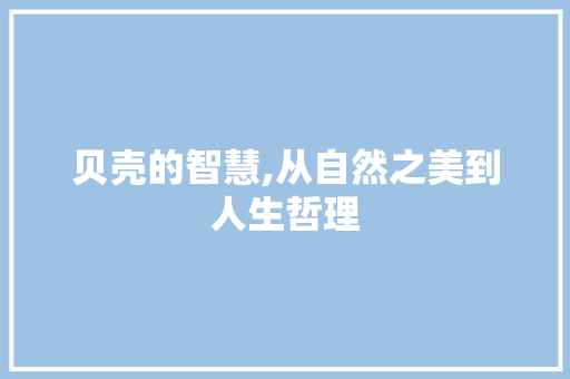 贝壳的智慧,从自然之美到人生哲理