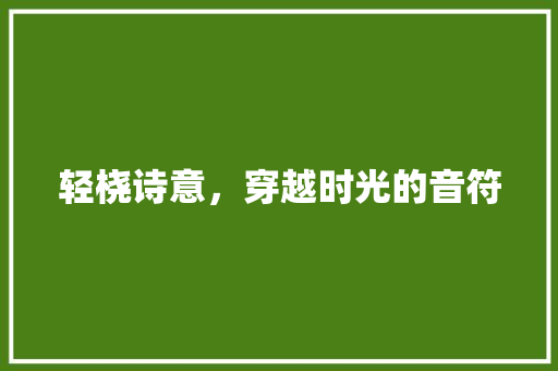 轻桡诗意，穿越时光的音符