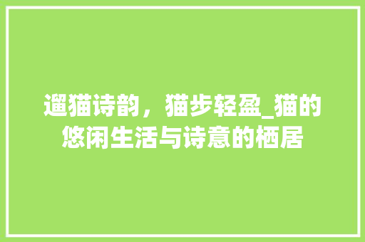 遛猫诗韵，猫步轻盈_猫的悠闲生活与诗意的栖居