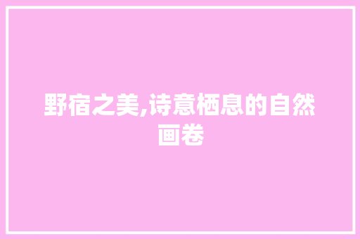 野宿之美,诗意栖息的自然画卷