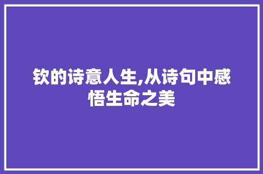 钦的诗意人生,从诗句中感悟生命之美