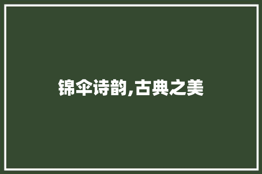 锦伞诗韵,古典之美