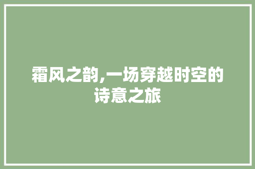 霜风之韵,一场穿越时空的诗意之旅