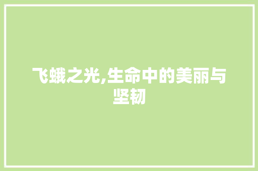 飞蛾之光,生命中的美丽与坚韧