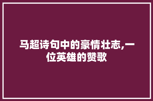 马超诗句中的豪情壮志,一位英雄的赞歌