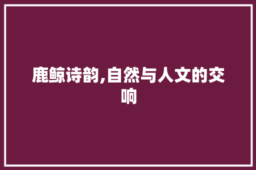 鹿鲸诗韵,自然与人文的交响
