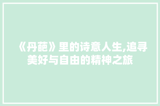 《丹葩》里的诗意人生,追寻美好与自由的精神之旅