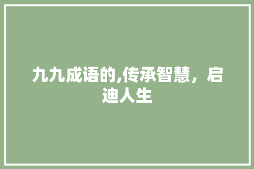 九九成语的,传承智慧，启迪人生