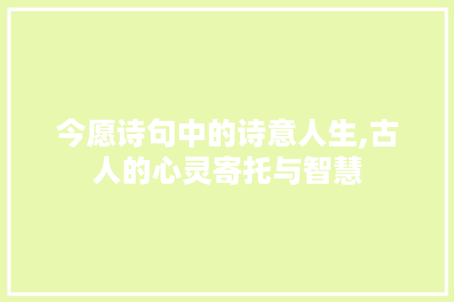 今愿诗句中的诗意人生,古人的心灵寄托与智慧