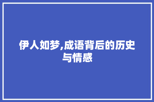 伊人如梦,成语背后的历史与情感