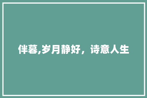 伴暮,岁月静好，诗意人生