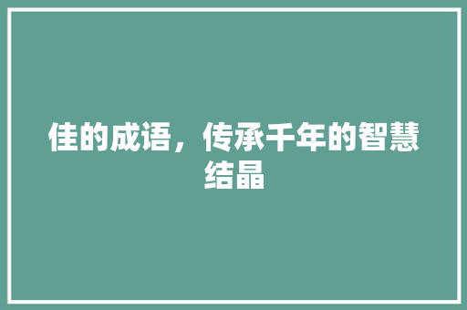 佳的成语，传承千年的智慧结晶