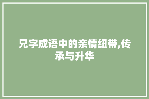 兄字成语中的亲情纽带,传承与升华