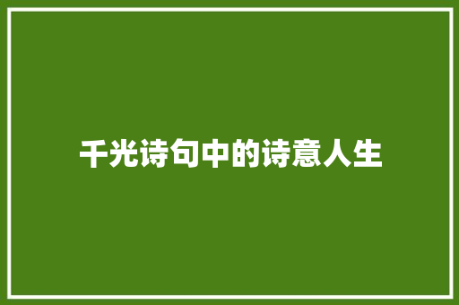 千光诗句中的诗意人生