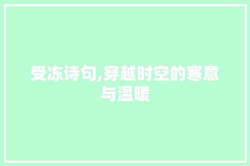 受冻诗句,穿越时空的寒意与温暖