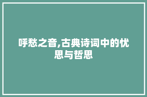 呼愁之音,古典诗词中的忧思与哲思