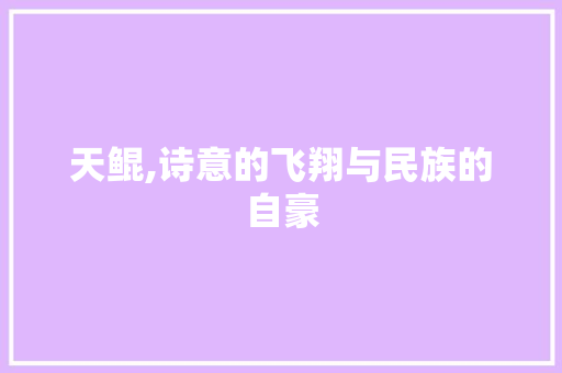 天鲲,诗意的飞翔与民族的自豪