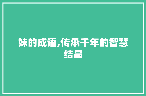 妹的成语,传承千年的智慧结晶