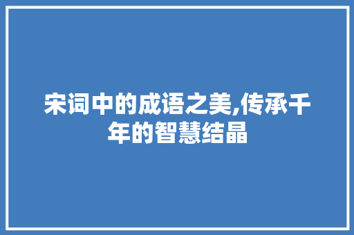 宋词中的成语之美,传承千年的智慧结晶