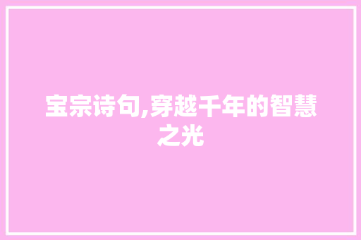 宝宗诗句,穿越千年的智慧之光