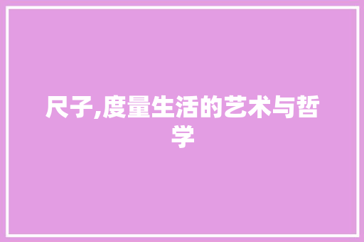 尺子,度量生活的艺术与哲学