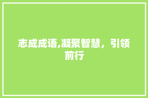 志成成语,凝聚智慧，引领前行