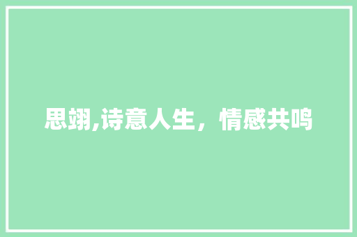 思翊,诗意人生，情感共鸣