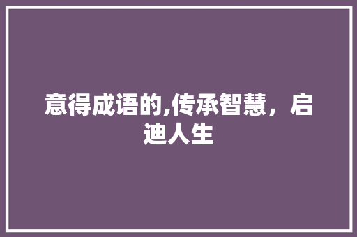 意得成语的,传承智慧，启迪人生