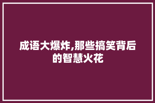 成语大爆炸,那些搞笑背后的智慧火花